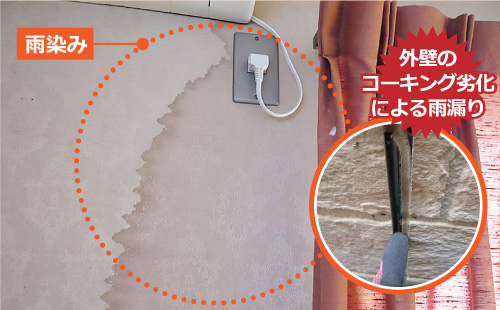 壁際の雨染み