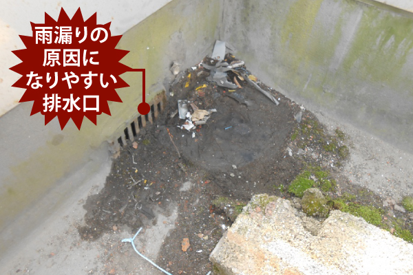 ゴミが詰まった排水口