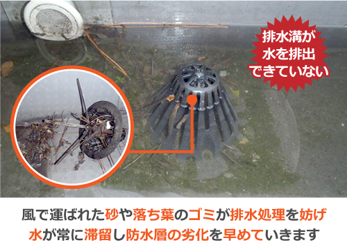 風で運ばれた砂や落ち葉のゴミが排水処理を妨げ水が常に滞留し防水層の劣化を早めていきます