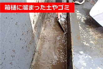 箱樋に溜まった土やゴミ