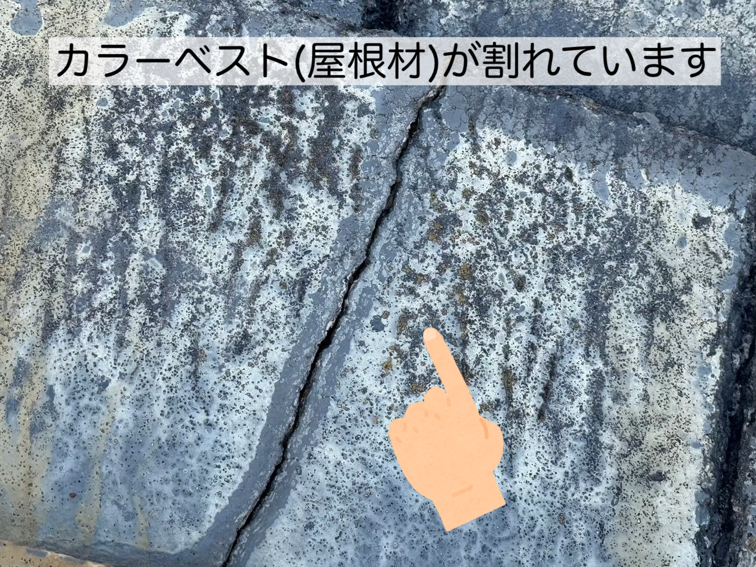 割れたカラーベスト