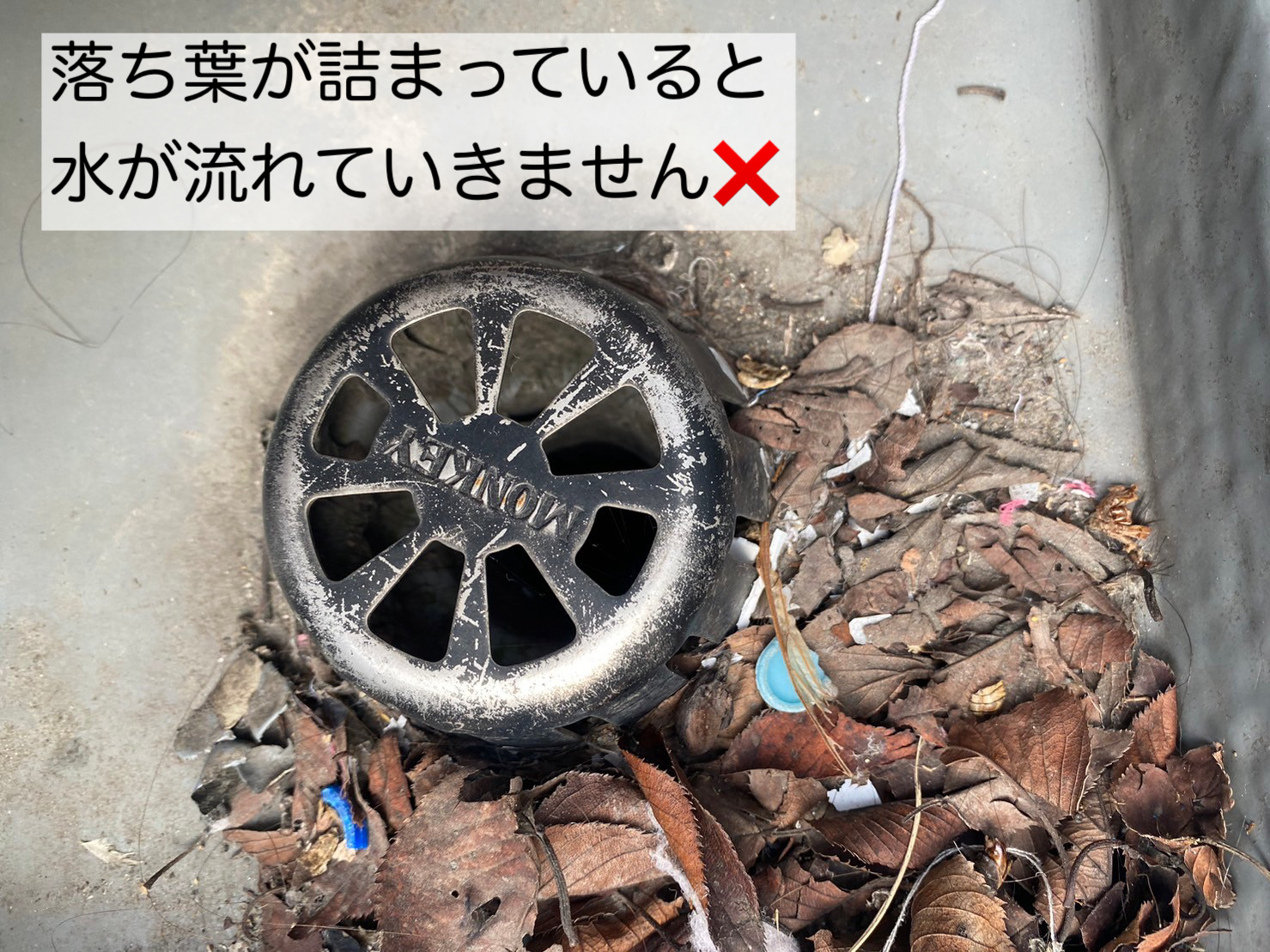 落ち葉がつまっている