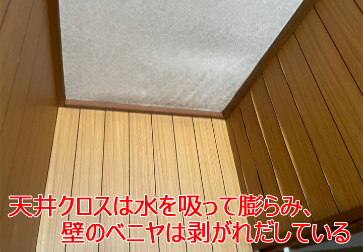 居室内の雨漏りの様子