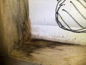 室内から確認した雨漏り箇所の拡大