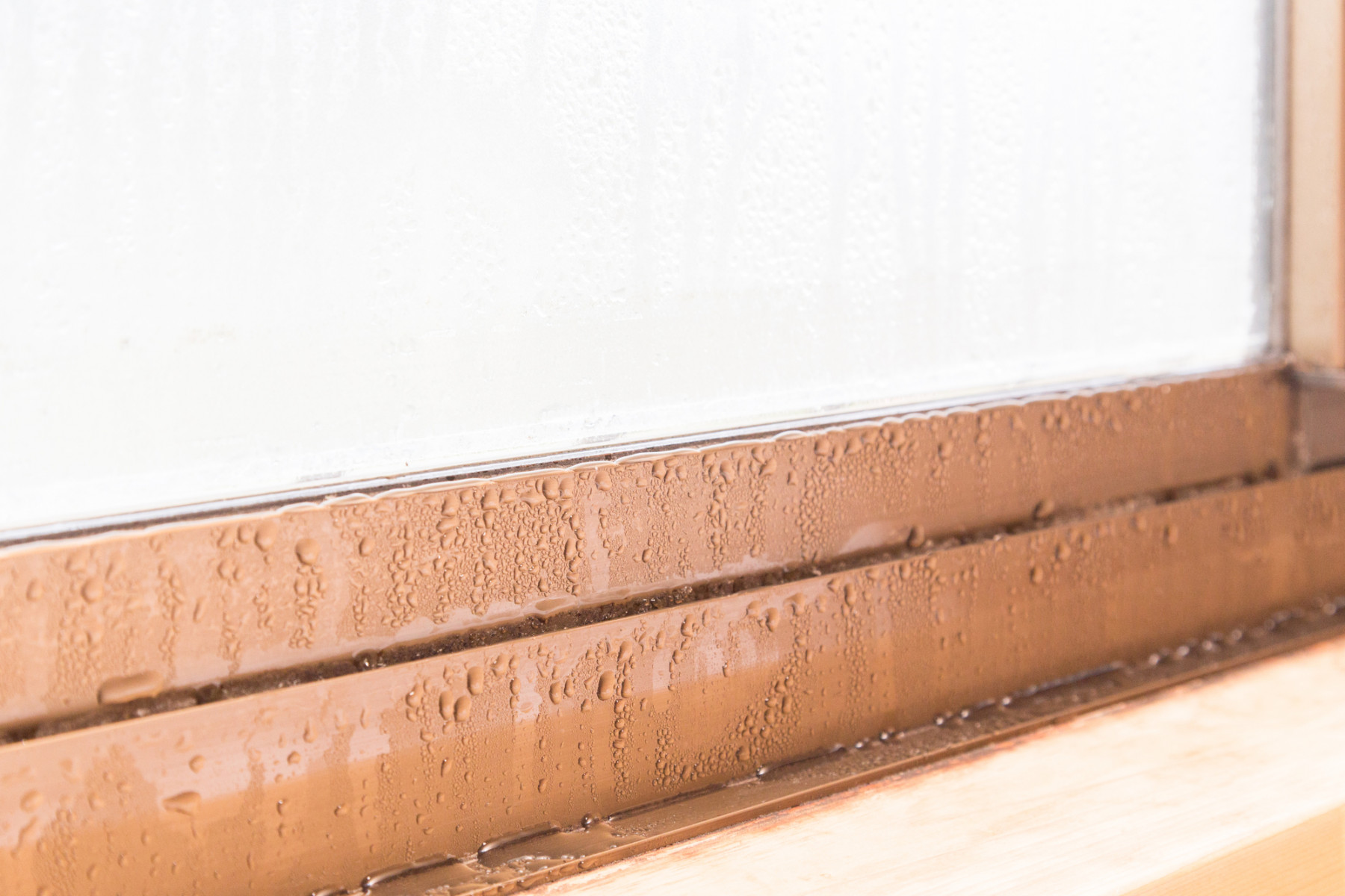 結露？雨漏り？夏も冬も要注意！見分け方と対策