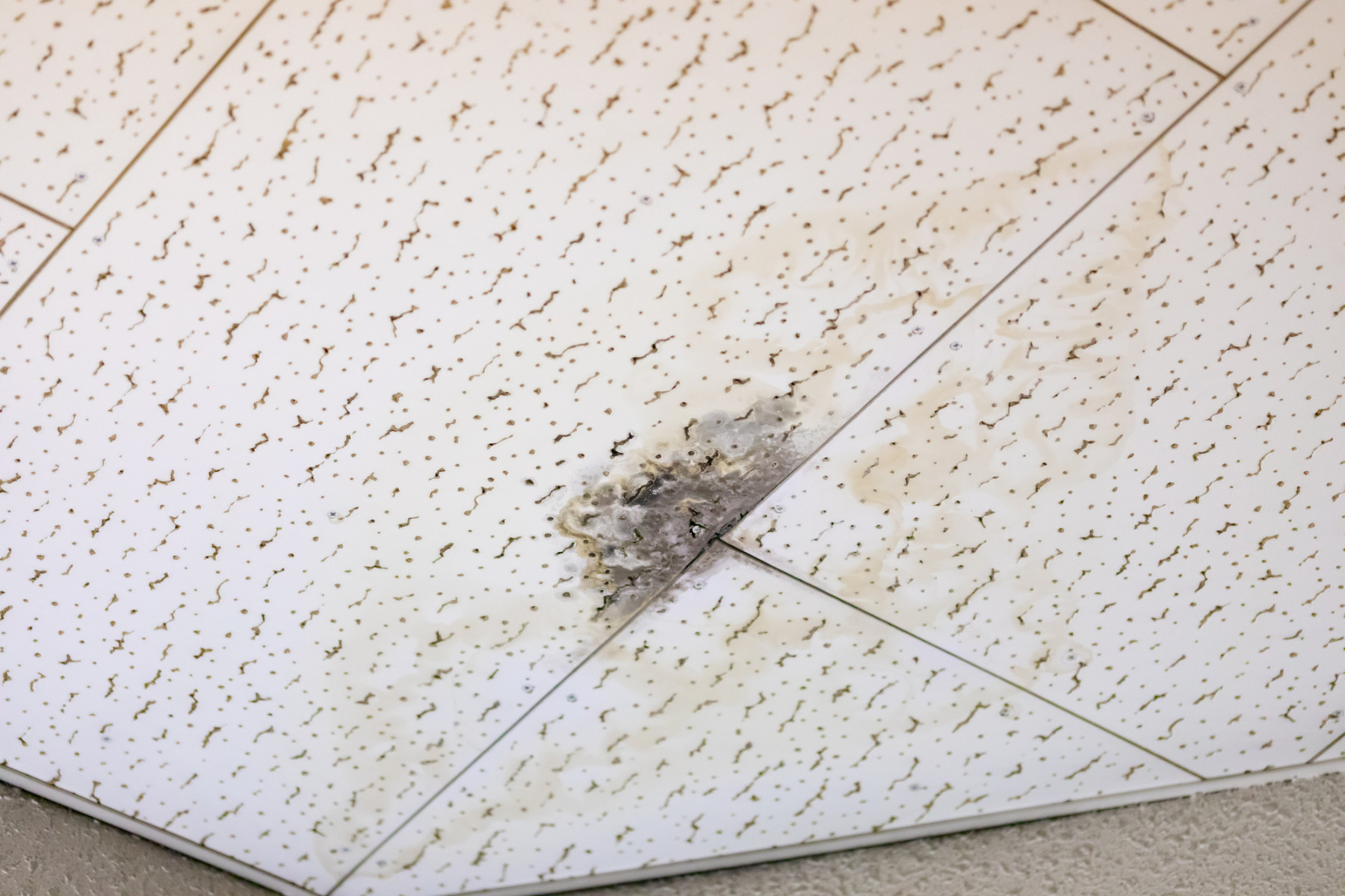 立川市で雨漏りにお困りではないですか？屋根、外壁の雨漏り原因を紹介！