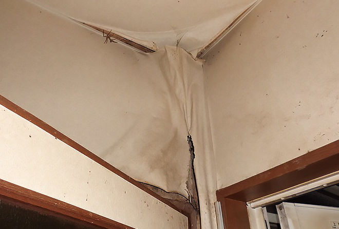 室内の壁のクロスがたるみ、大きく剥がれ下地が見えています