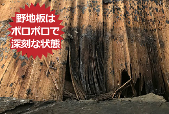 野地板は損傷が激しく、ボロボロで深刻な状態です