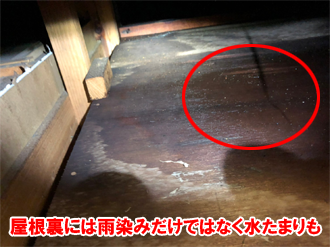 天井裏にできた水溜まり