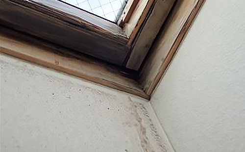 トップライト周辺の天井クロスが雨染みで汚れている