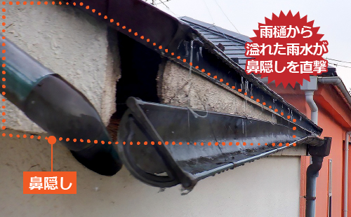 雨樋から溢れた雨水が鼻隠しを直撃