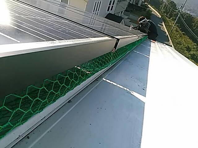 太陽光パネルに防鳥ネット