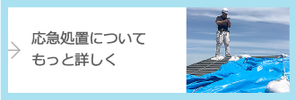 応急処置についてもっと詳しく