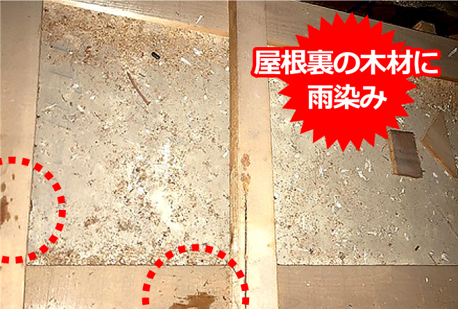 屋根裏を調査すると、木材に雨染みが複数個所確認できました