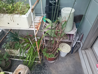 雨漏りを起こしたバルコニーにはプランターが置いてありました