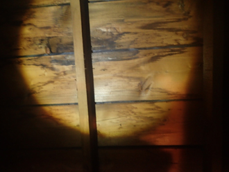 小屋裏に雨染みを確認