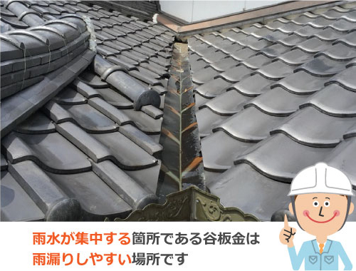 雨水が集中する箇所である谷板金は雨漏りしやすい場所です