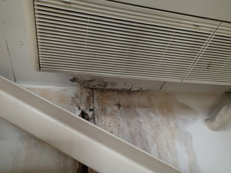 エアコン付近にも雨漏りによる汚れを確認