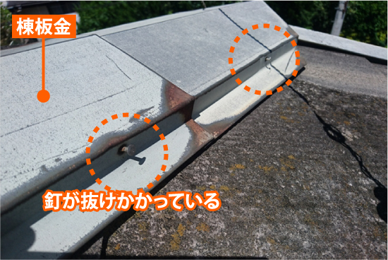 棟板金の釘が抜けかかっている