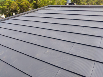 ヒランビーの取り付けが完了