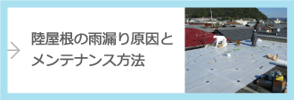 陸屋根の雨漏り原因とメンテナンス方法
