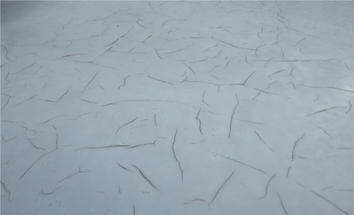 トップコートのひび割れ