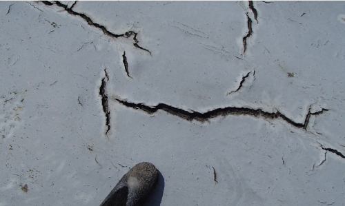 防水層の亀裂