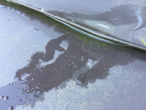 継ぎ目にしみ込んだ雨水